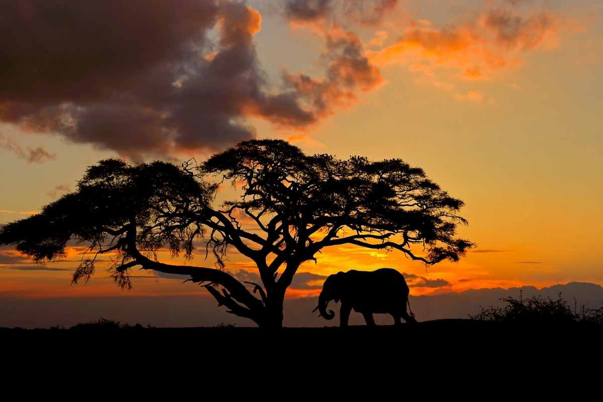 Best Time to Visit Hoedspruit: Weather and Seasons Month by Month