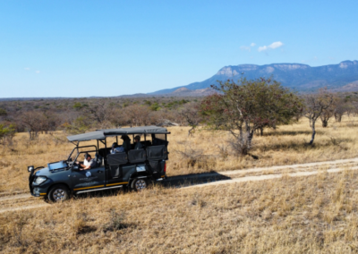 Kruger Park open vehicle
