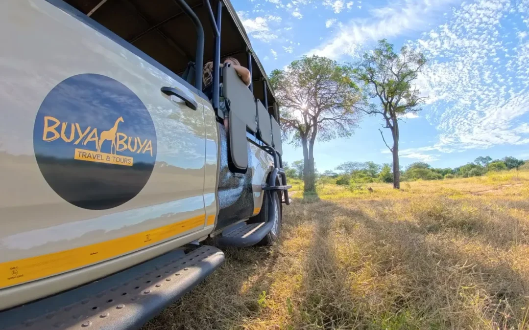 Hoedspruit to Kruger: Orpen Gate vs Phalaborwa Gate