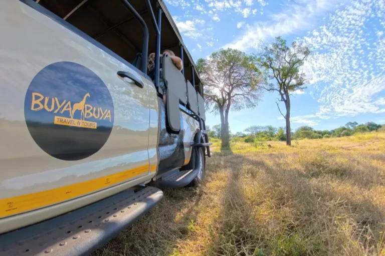 Kruger Park Safari