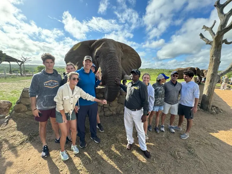 Elephant Moments