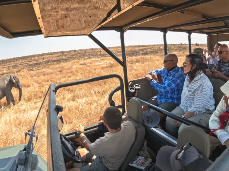 Hoedspruit Game Drives