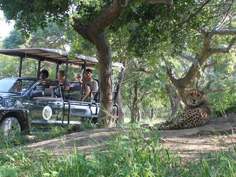 Hoedspruit Endangered Speecies Centre