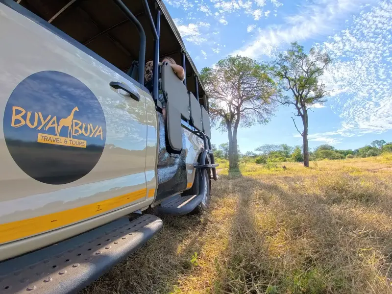 Kruger Safari from Hoedspruit