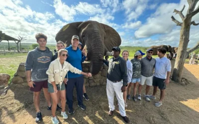 Green Season Safaris in Hoedspruit: Why Summer Is Underrated